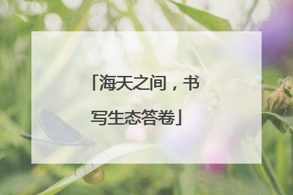 海天之间，书写生态答卷
